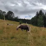 Lejlighed Ein Traum Im Schwarzwald - Mit Megaausblick *