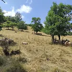 Ein Traum Im Schwarzwald - Mit Megaausblick
