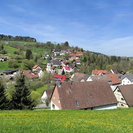 Apartment Ein Traum Im Schwarzwald - Mit Megaausblick *