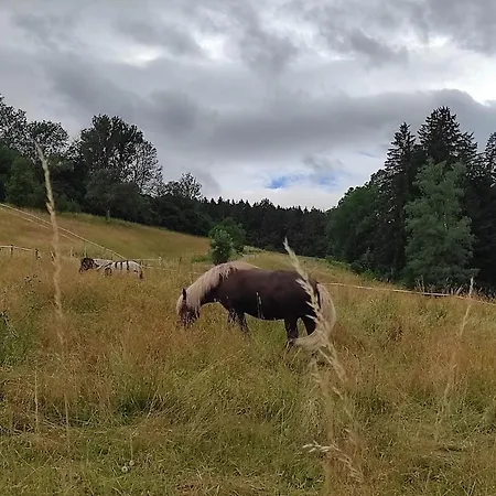 Apartment Ein Traum Im Schwarzwald - Mit Megaausblick *