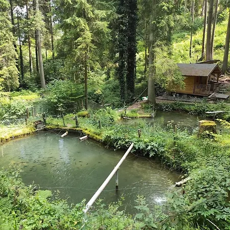 Apartment Ein Traum Im Schwarzwald - Mit Megaausblick *