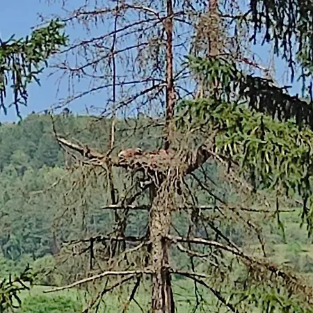 Ein Traum Im Schwarzwald - Mit Megaausblick Apartment Niederdorla