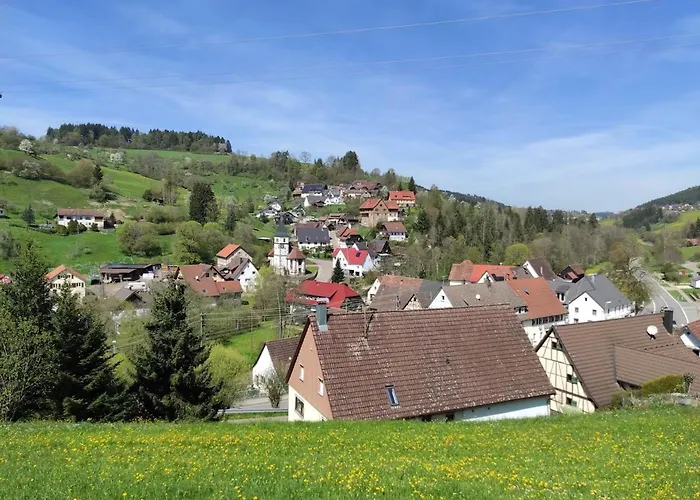 Appartement Ein Traum Im Schwarzwald - Mit Megaausblick *
