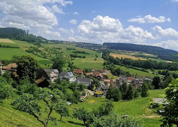 Appartement Ein Traum Im Schwarzwald - Mit Megaausblick