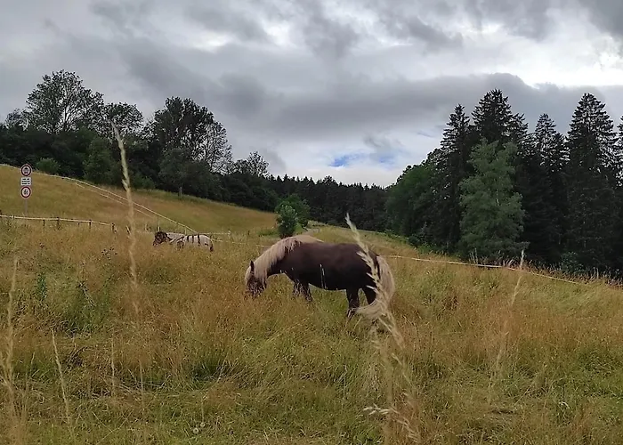 Appartement Ein Traum Im Schwarzwald - Mit Megaausblick *