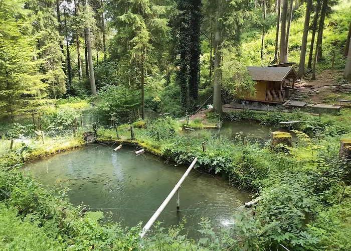 Appartement Ein Traum Im Schwarzwald - Mit Megaausblick *