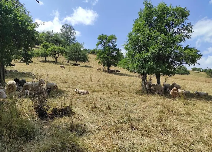 Ein Traum Im Schwarzwald - Mit Megaausblick